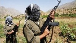 Bingöl'de 2 terörist yakalandı
