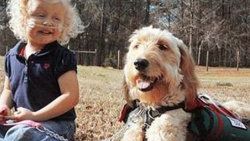 Onun hayatı köpeğine bağlı
