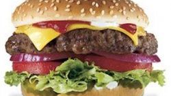 Mahkeme hamburger işkencesini durdurdu