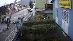 Mucize eseri ikiye bölünen araçtan sağ çıktılar - İzle