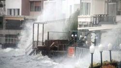 Bodrum'da lodos kabusu