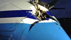 Albatros uçakta 1 metrelik delik açtı