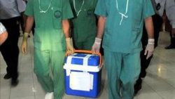 Yüz nakli organ bağışını artırdı