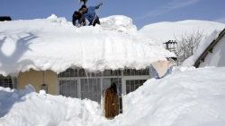 Bitlis'te her şey kar altında