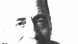 Mükrimin Halil Yinanç anılıyor
