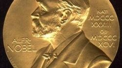 Nobel Barış Ödülü nedir