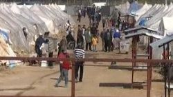 52 Suriyeli daha Reyhanlı'ya geldi