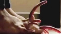 Tırnağını kesmedi ayakkabısını kesti -Video