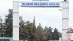 Urfa'da Suriye için büyük hazırlık