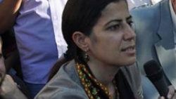 BDP'li Ata: Nevruz ruhuna uygun kutlanacak