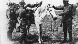 Bir milletin diriliş destanıdır Çanakkale