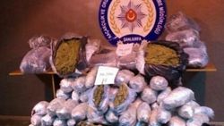 Şanlıurfa'da 193 kilo esrar ele geçirildi