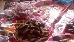 Havalimanında 3 kişinin midesinden 3.5 kg esrar çıktı