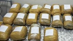 Kargo aracında 20 kilo esrar ele geçirildi