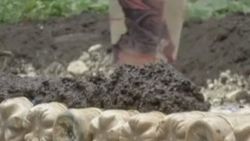 Kolombiya'da pet şişeden ev yapıyorlar