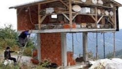 Rizeli arı kovanlarını ayıdan korumak için ev yaptı