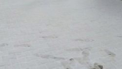 Uludağ'a ilk kar düştü
