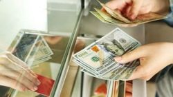 TESK Genel Başkanı: Dolar fırsatçılarına kanmayın