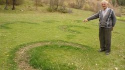 Kastamonu'da bir tarlada hilal şekilleri oluştu