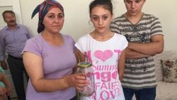 Niğde'de sarıkız örümceği paniği