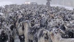 Doğu Karadeniz'den kar manzaraları