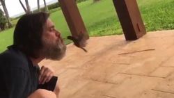 Jim Carrey ağzıyla kuş besledi