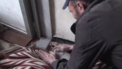 ABD Savunma Bakanı: Suriye'ye müdahale edebiliriz