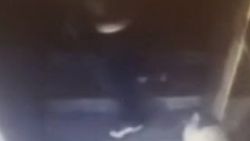 1 liralık tuvalet cinayetine 12,5 yıl hapis