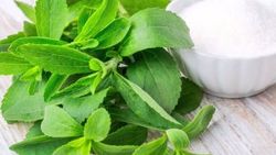 Stevia nedir