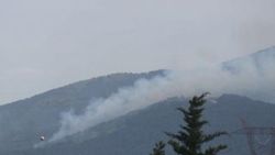 Aydos Ormanları'nda yangın