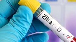 Zika virüsünü taşıyan sinekler Türkiye'de