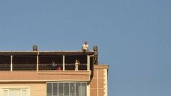 Adıyaman'da 'kötü koku'ya tepki olarak intihar girişimi