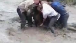 Sele kapılan eşeği canları pahasına kurtardılar