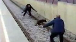 Bursa metrosunda köpek kurtarma operasyonu