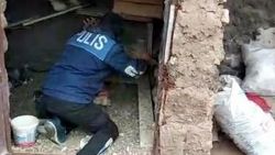 Güvercin kümesinde 592 ecstasy hap ele geçirildi