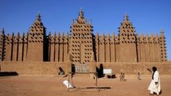 Mali'nin sembolü yok olma tehlikesiyle karşı karşıya