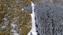 Bolu Dağı'nda kar manzarası
