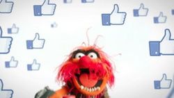 Facebook yorumlarında GIF dönemi