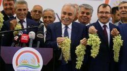 Bakan Fakıbaba'dan üzüm suyu çıkışı