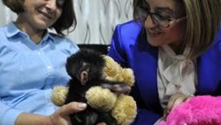 Fatma Şahin küçük babunu ziyaret etti