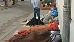 Avusturya 4 bin mületeciye bakamadı