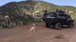 Adıyaman'da 8 terörist öldürüldü