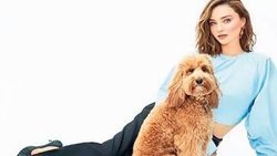 Miranda Kerr ikinci kez hamile