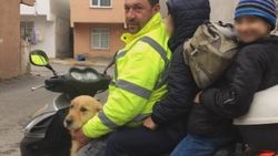 3 kişi ve 1 köpeğin motosikletle tehlikeli yolculuğu