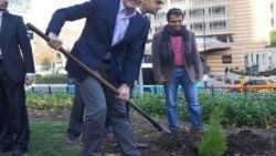 Sosyalist başkan Papandreu Gezi Parkı'na fidan dikti