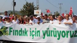CHP'nin 'Fındık İçin Yürüyoruz' etkinliği