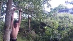 Gerçek hayattaki Tarzan, parkuru engelsiz aşıyor