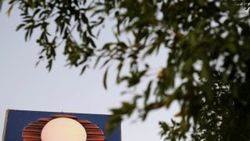 Meksika televizyonunun önünde iki kafa bulundu