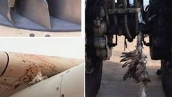 13 tanesi uçak motorundan çıkarıldı