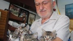 72 yaşındaki terzi, 25 sokak kedisine bakıyor